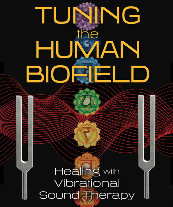 Focused Energy Healing Sessions (1 hour)